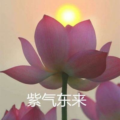 异侠传道消魔长手游官方版下载